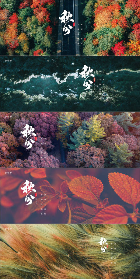 源文件下载【秋分海报】编号：94660006477728257