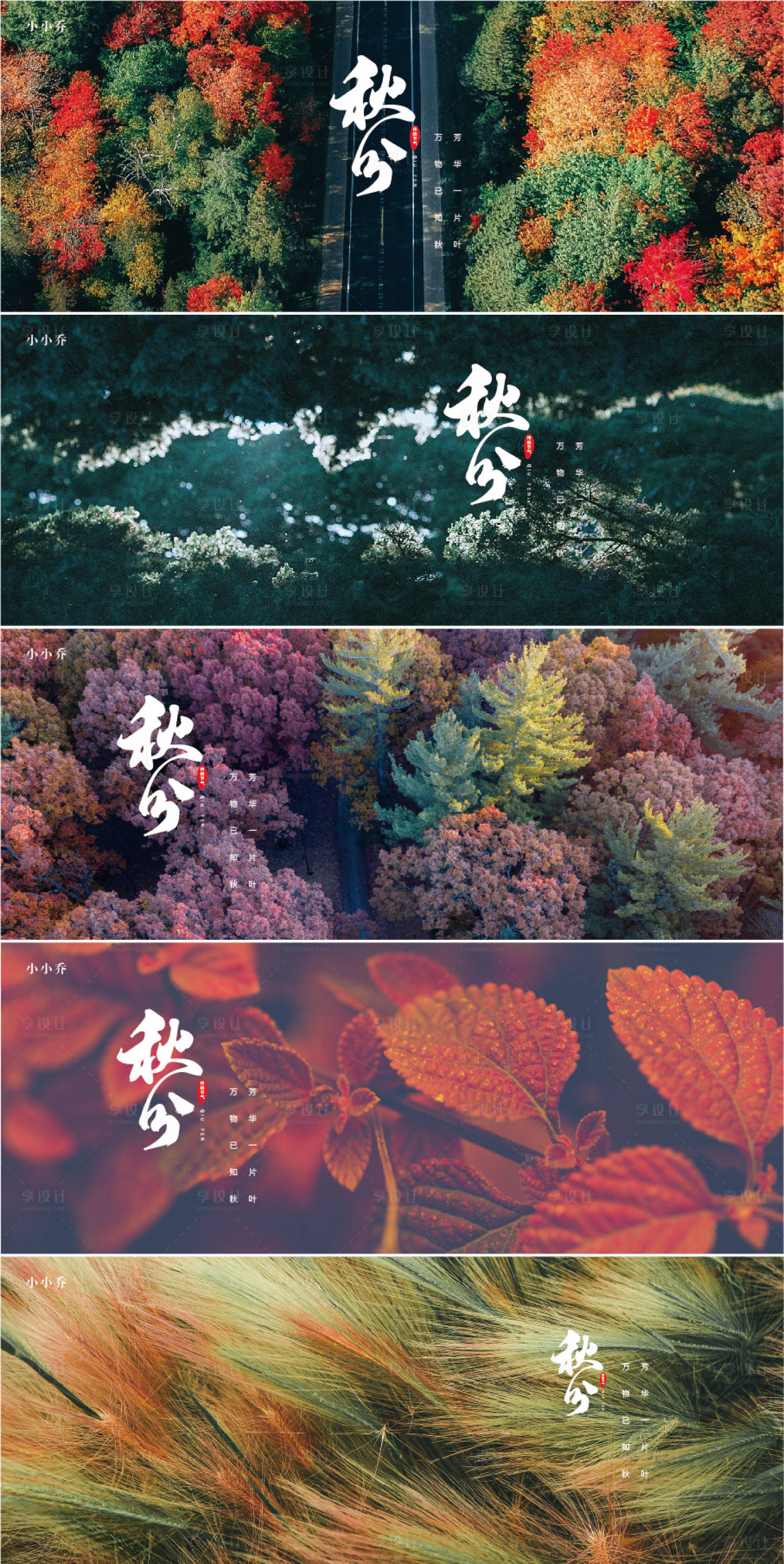源文件下载【享设计】搜索编号：94660006477728257【秋分海报】