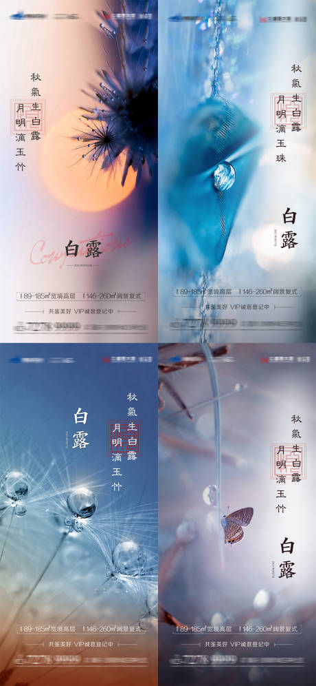 源文件下載【白露節氣系列海報】編號：55650006284585471