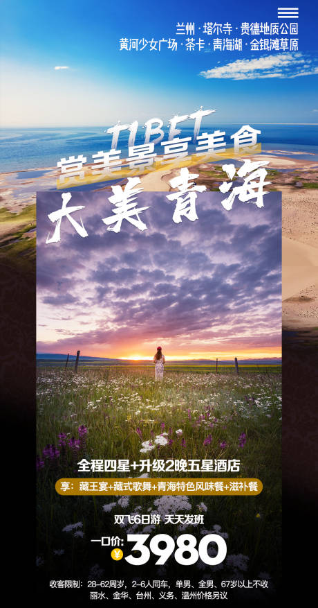 我在青海看星星旅游产品海报