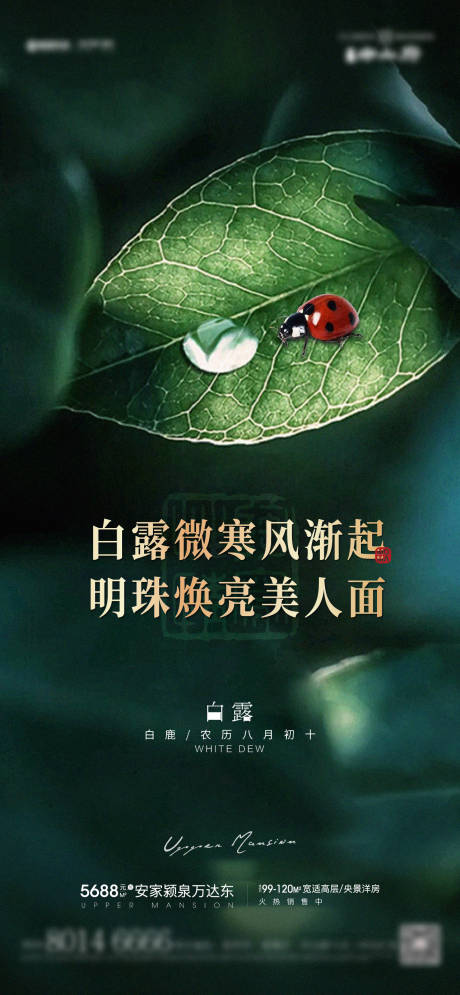 源文件下载【白露节气海报】编号：91760006334253605
