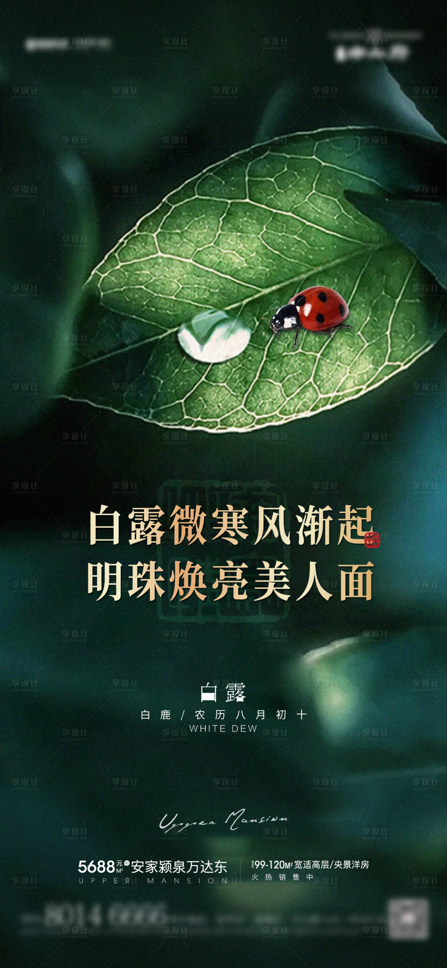 源文件下載【享設(shè)計(jì)】搜索編號(hào)：91760006334253605【白露節(jié)氣海報(bào)】