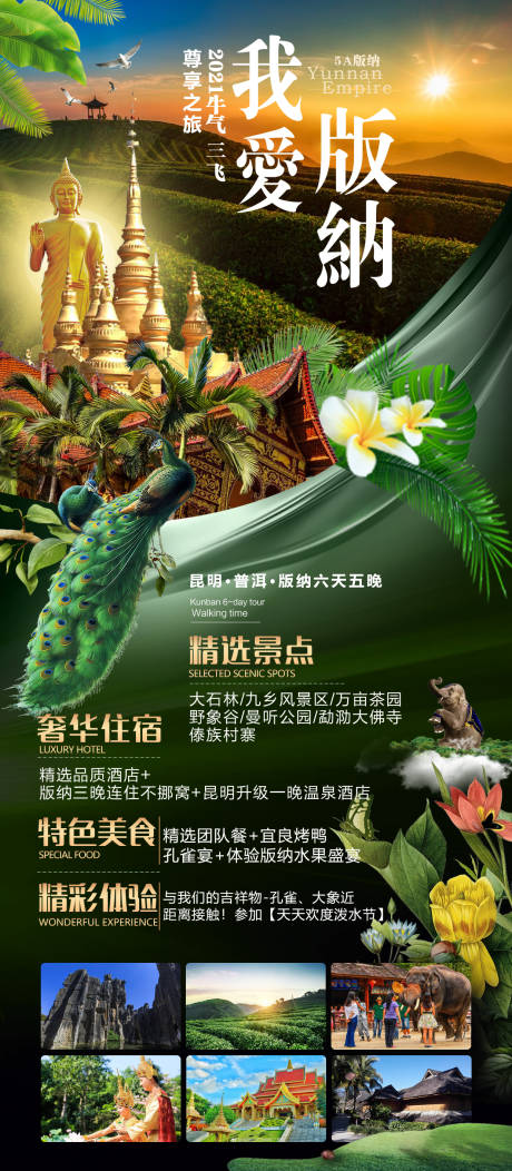 编号：20210922144306904【享设计】源文件下载-云南西双版纳旅游创意海报