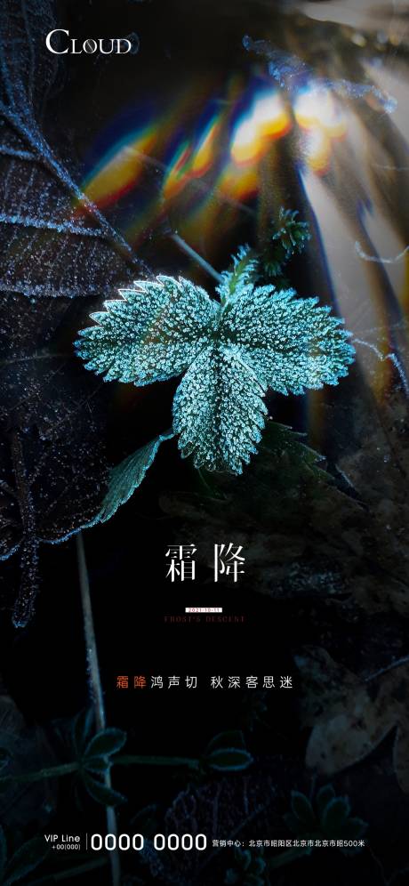 源文件下载【霜降节气海报】编号：13990006694206270