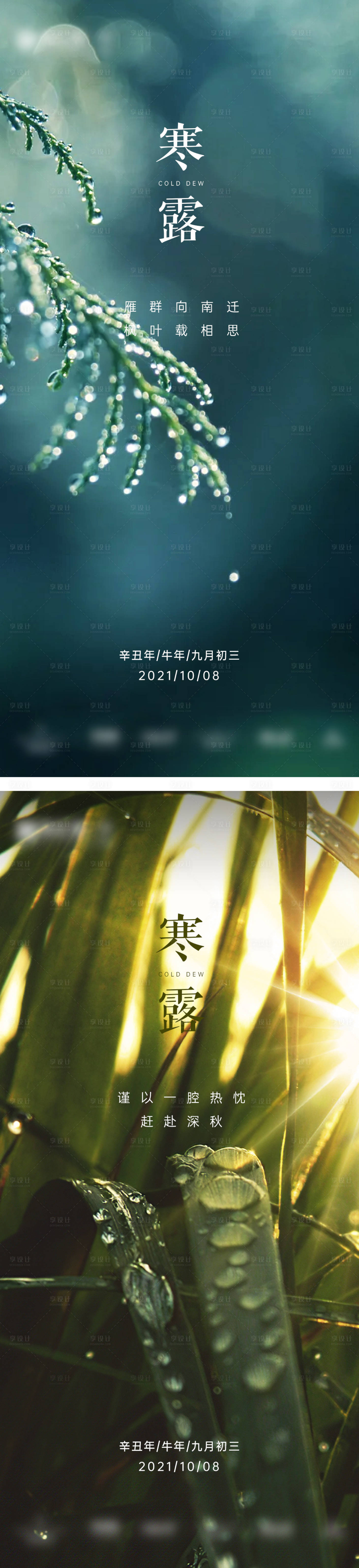 源文件下载【地产寒露节气系列海报】编号：32950006599895901