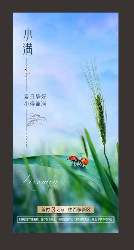源文件下載【小滿海報】編號：71950006591826507