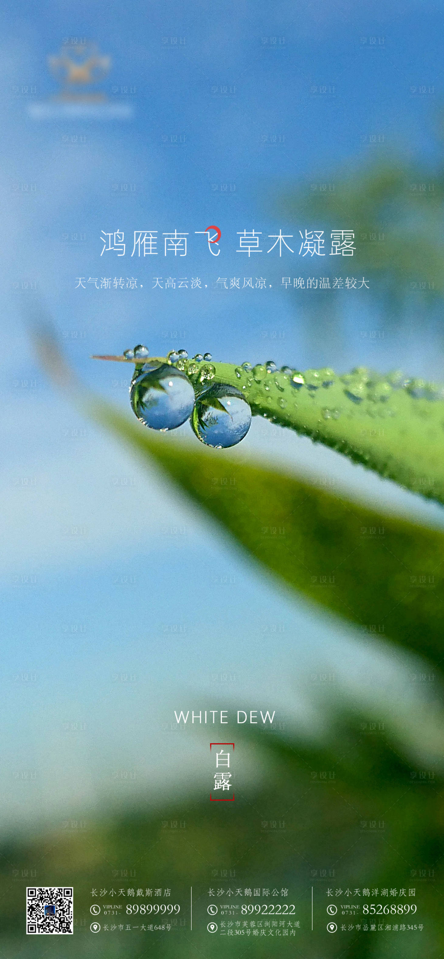 源文件下載【享設(shè)計】搜索編號：57190006346883670【白露節(jié)氣海報】