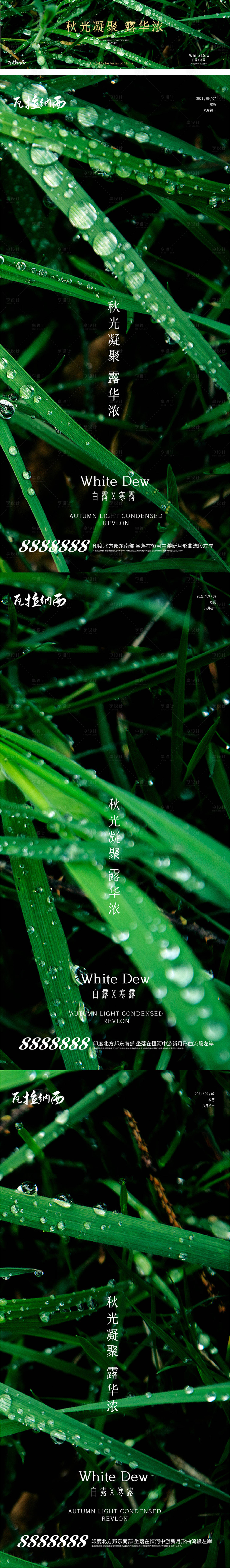 源文件下載【享設計】搜索編號：99390006309539162【白露寒露節氣系列海報】