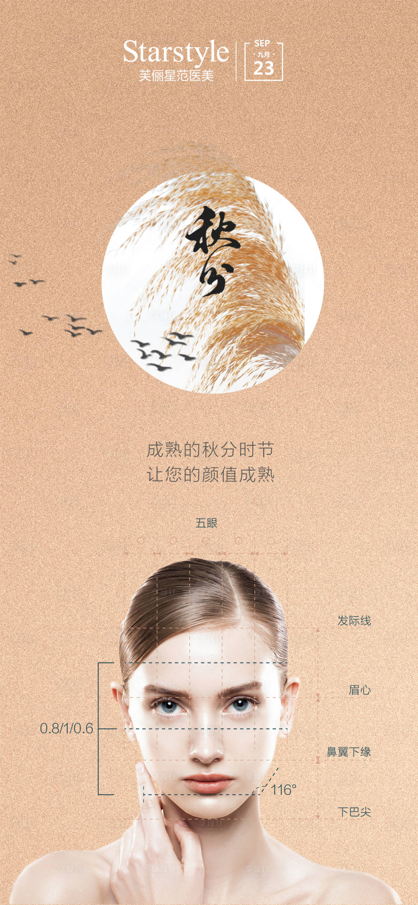 源文件下載【享設計】搜索編號：55590006548581837【醫美秋分節氣海報】