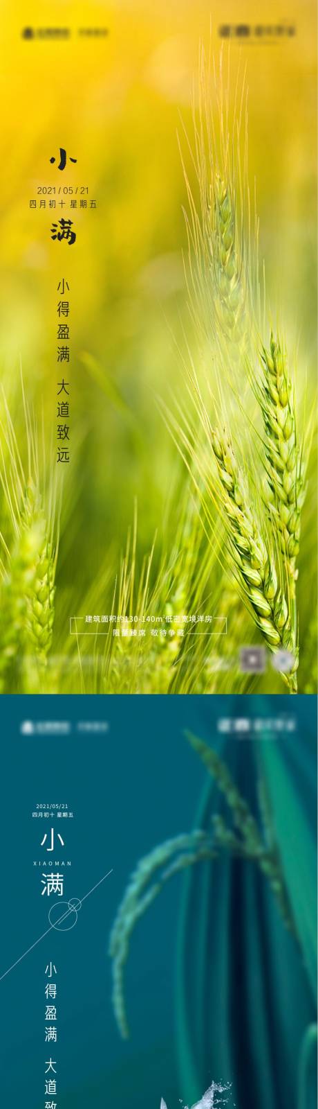 源文件下载【房地产小满节气海报】编号：17940006410178387