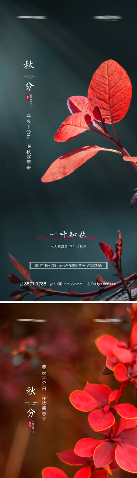 源文件下载【地产秋分节气海报】编号：64060006391406338