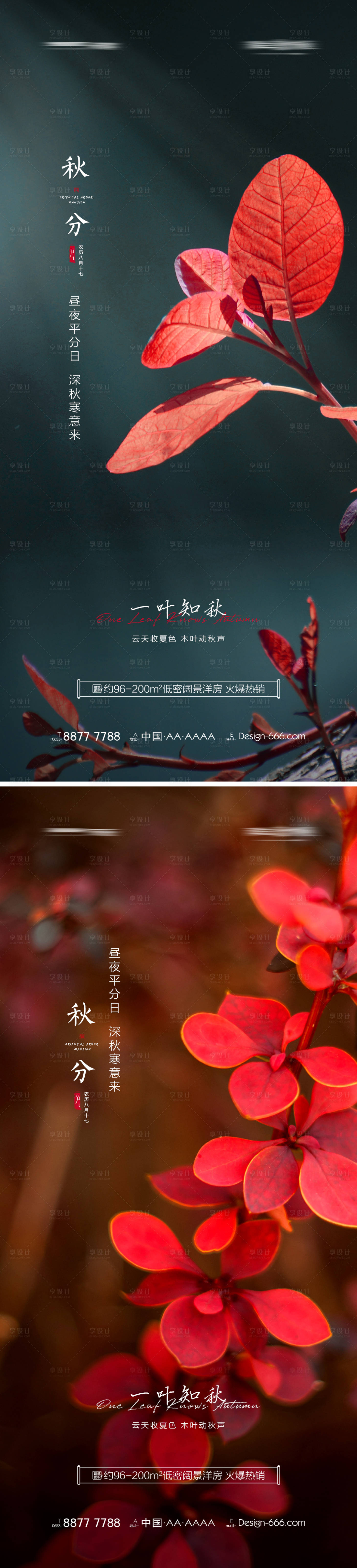 源文件下载【地产秋分节气海报】编号：64060006391406338