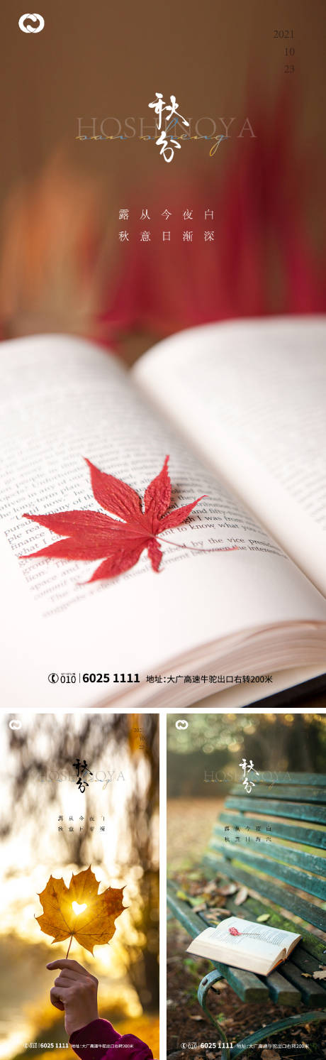 源文件下载【秋分节日海报】编号：18680006537864012