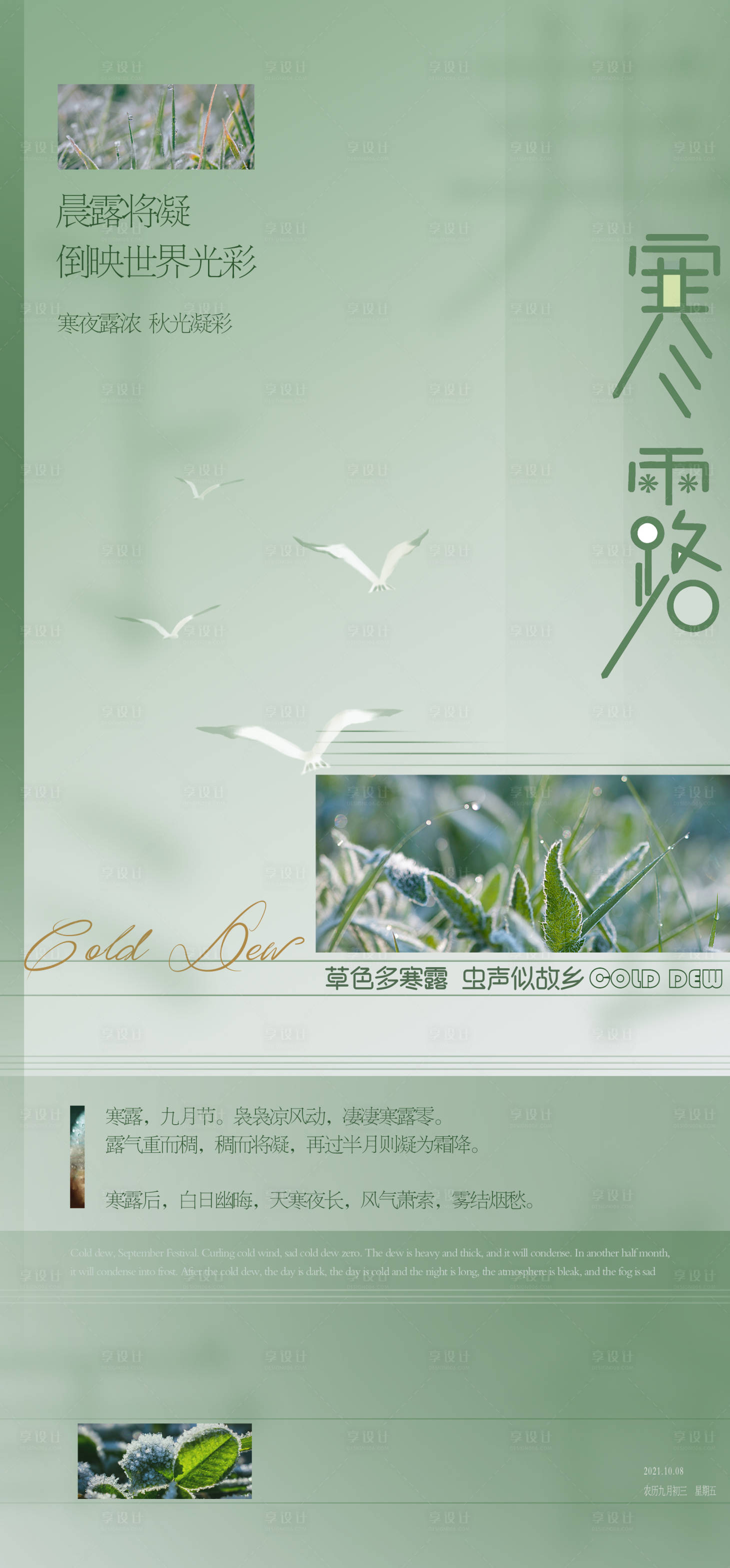 源文件下载【享设计】搜索编号：98860006688492899【寒露节气海报】