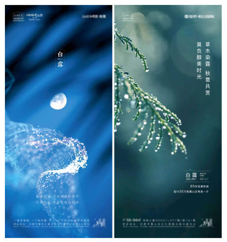 源文件下载【白露 】编号：30920006358482157