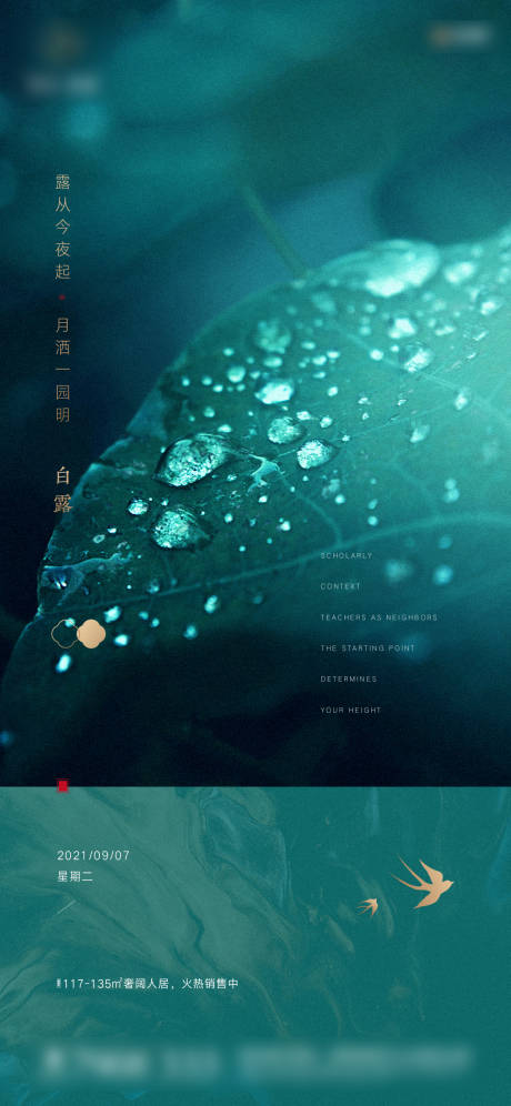 源文件下載【白露海報】編號：91970006353594602