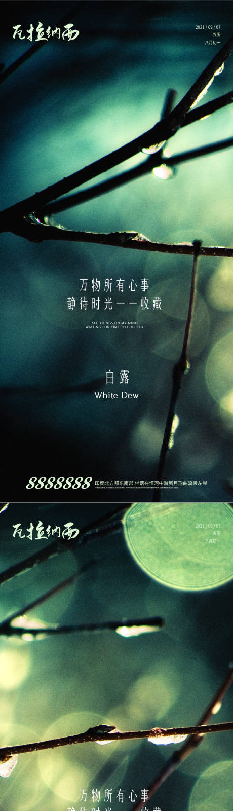 源文件下载【白露节气系列海报】编号：78280006302683818