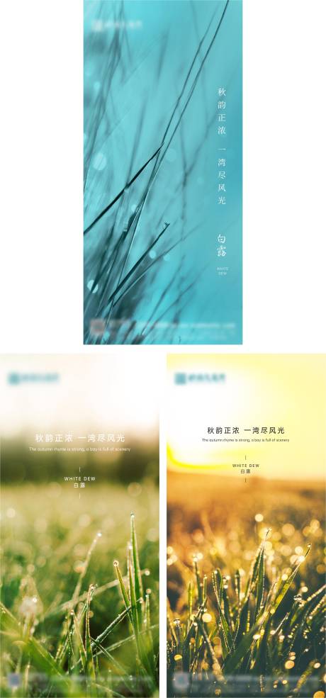 源文件下载【白露】编号：34090006296879979