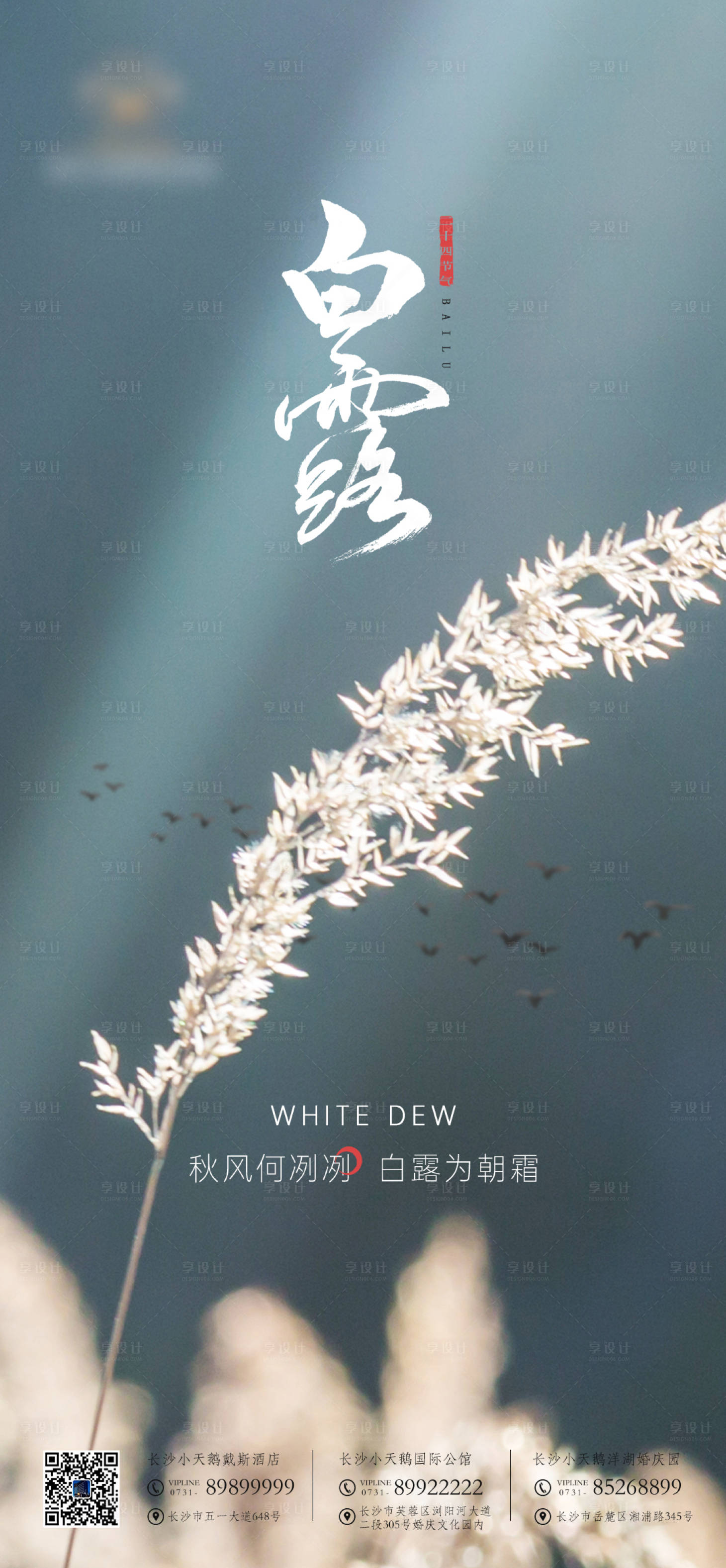 源文件下載【享設計】搜索編號：35400006347693213【白露節氣海報】