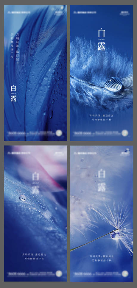 源文件下载【享设计】搜索编号：61040006301408320【白露节气系列海报】