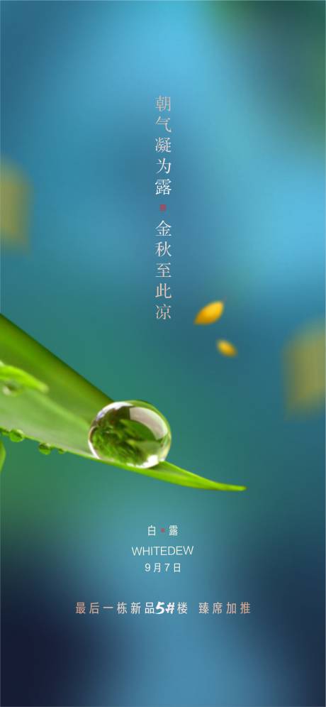 源文件下载【白露节气微信海报】编号：38600006648551406