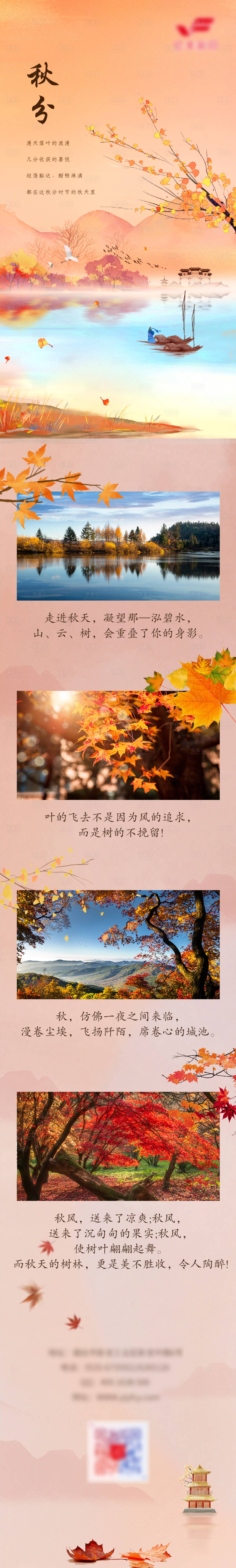 源文件下载【秋分公众号长图】编号：60120006568119306