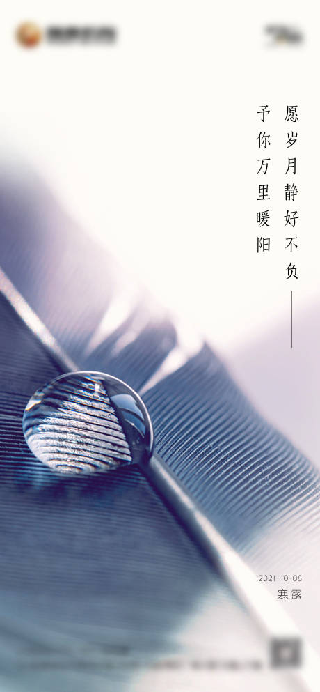 源文件下載【寒露節氣單圖】編號：13060006613147343