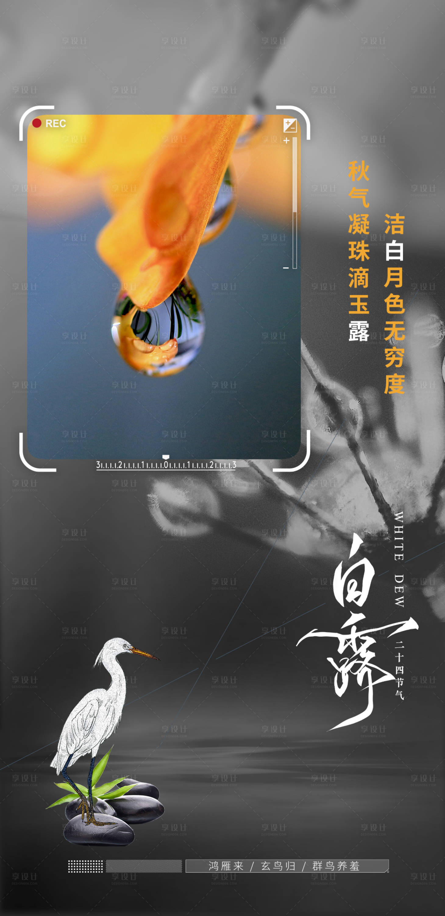 源文件下载【享设计】搜索编号：26800006339014000【白露】