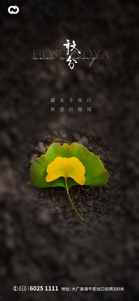 源文件下载【享设计】搜索编号：26700006537856537【秋分节日海报】