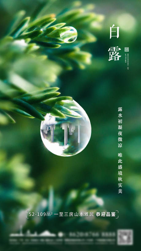 源文件下载【白露节气海报】编号：41920006356635372