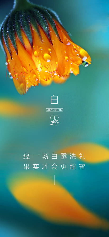 源文件下载【白露节气海报】编号：81790006357709101