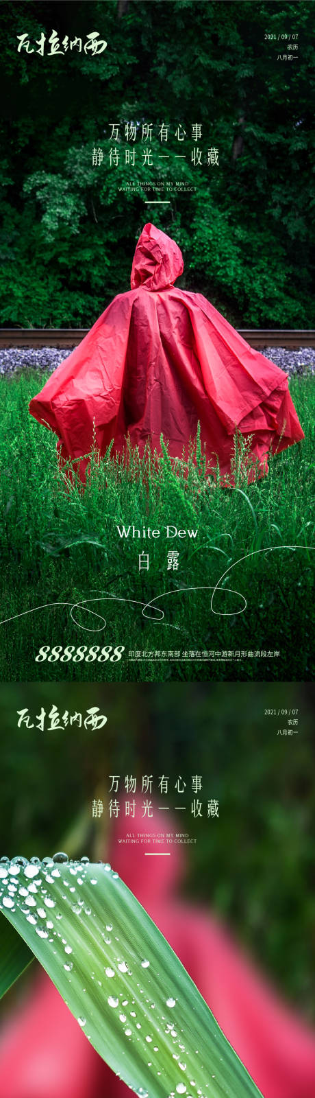 源文件下载【享设计】搜索编号：59490006316342309【白露节气系列海报】