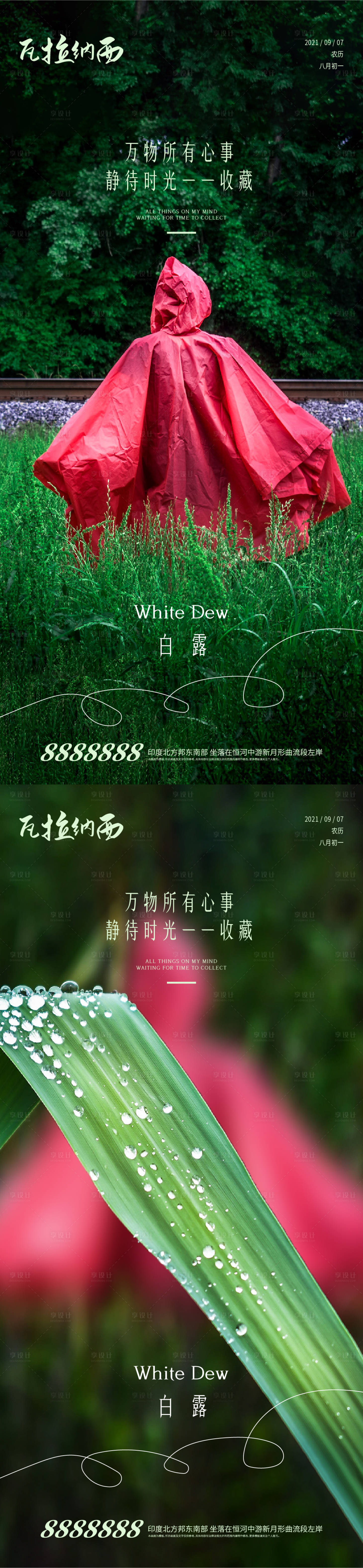 源文件下载【享设计】搜索编号：59490006316342309【白露节气系列海报】