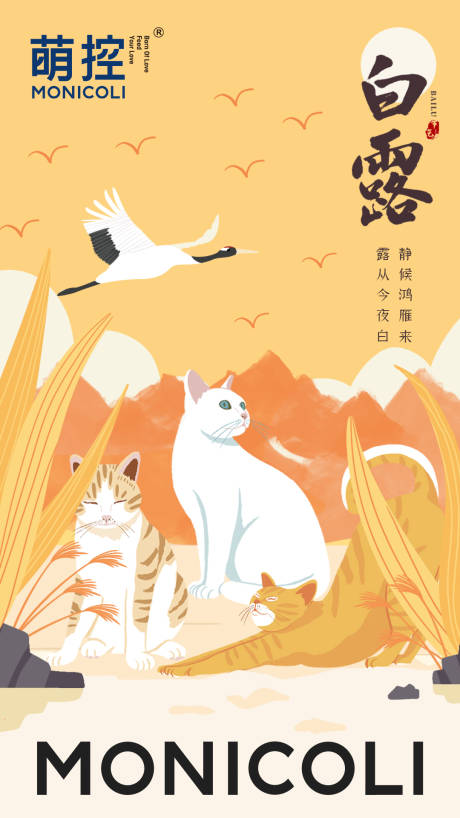 宠物猫白露节气海报