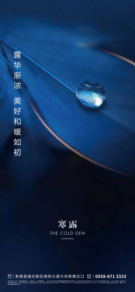 源文件下載【享設(shè)計(jì)】搜索編號(hào)：62400006549731290【寒露海報(bào)】