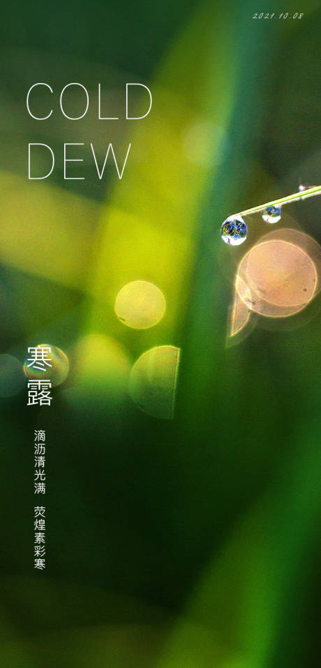 源文件下載【享設(shè)計(jì)】搜索編號(hào)：40310006587227920【寒露節(jié)氣海報(bào)】