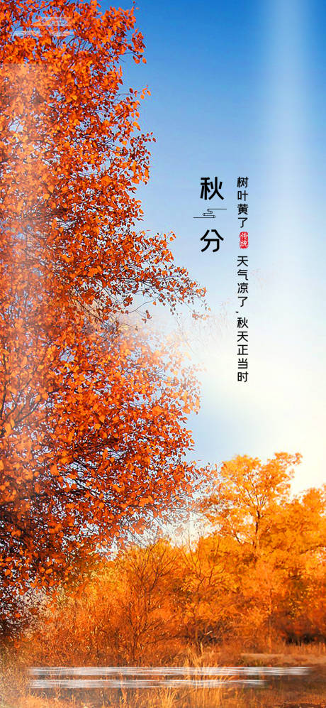 源文件下载【秋分节气海报】编号：23720006285997538
