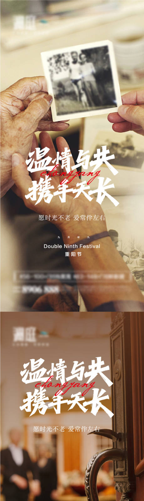 源文件下载【重阳节海报】编号：21150006608177523