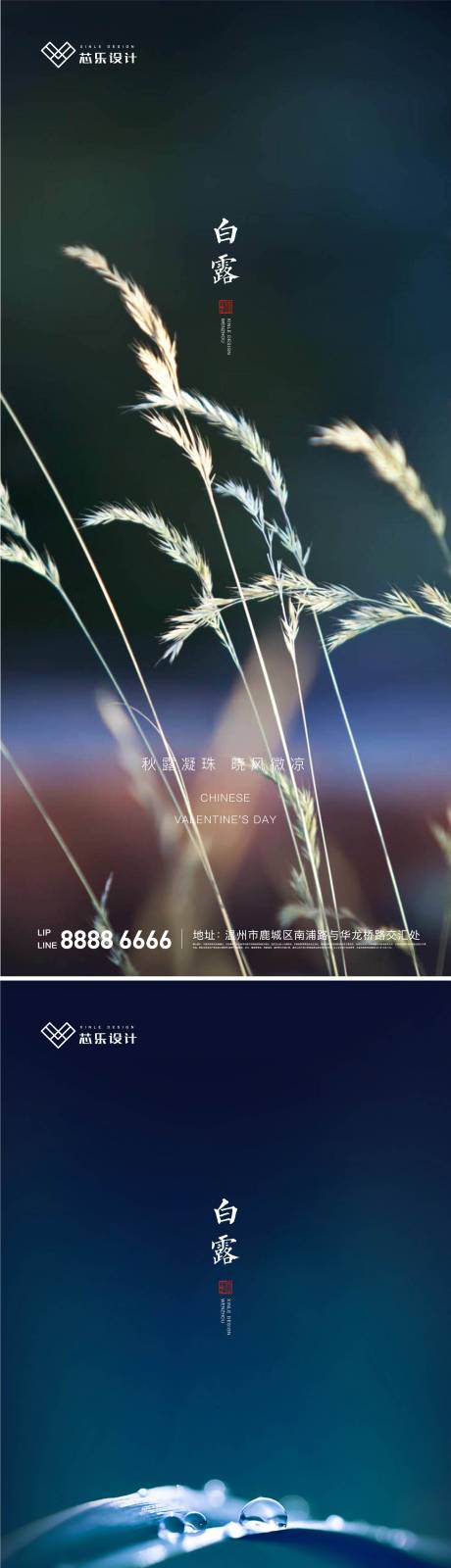 源文件下载【白露节气移动端海报】编号：20210902144831140