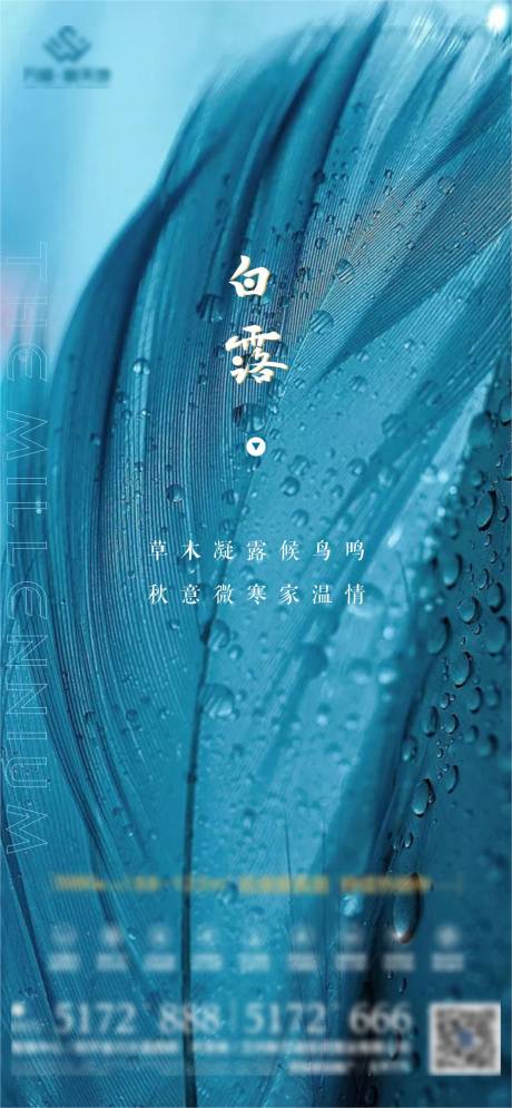 源文件下载【白露海报】编号：73150006686536336