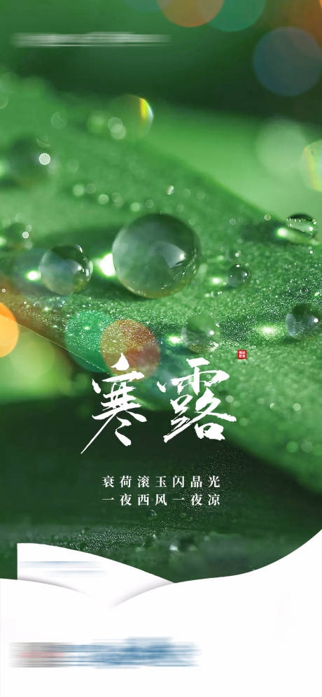 源文件下载【享设计】搜索编号：20750006650404660【地产寒露海报】