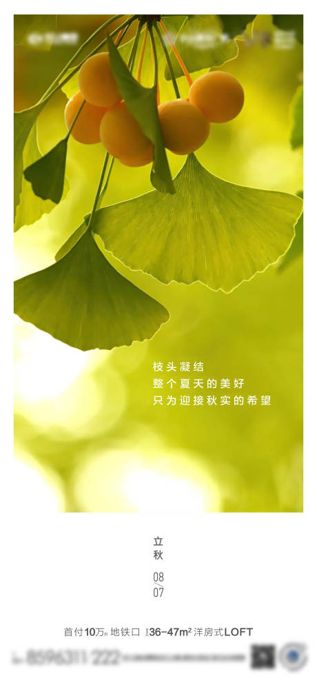 源文件下载【立秋节气】编号：67340006334694674