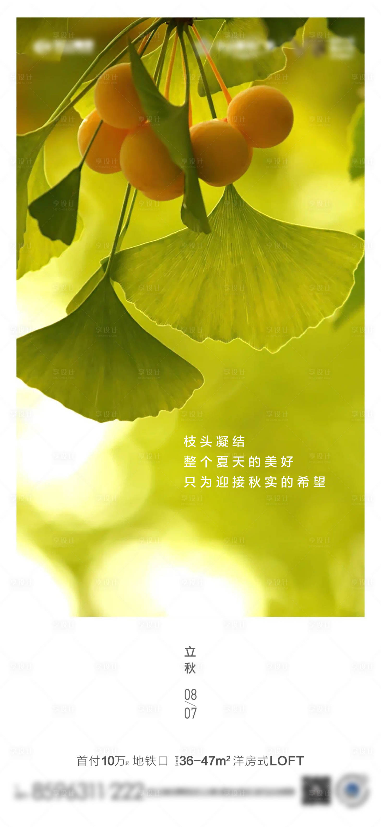 源文件下载【享设计】搜索编号：67340006334694674【立秋节气】