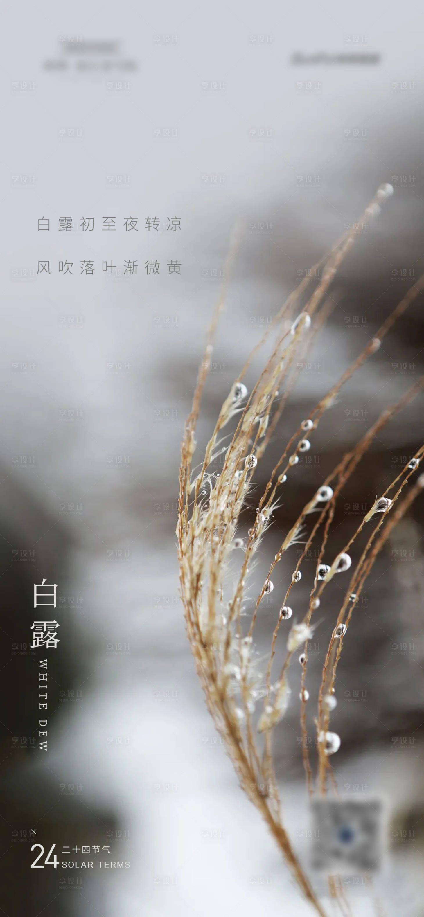 源文件下载【享设计】搜索编号：46000006368451639【白露节气海报】