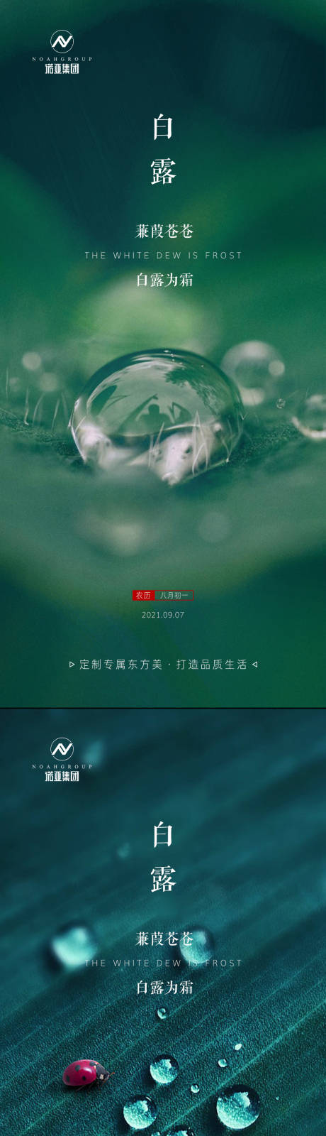 源文件下载【白露节气系列海报】编号：26580006334021306