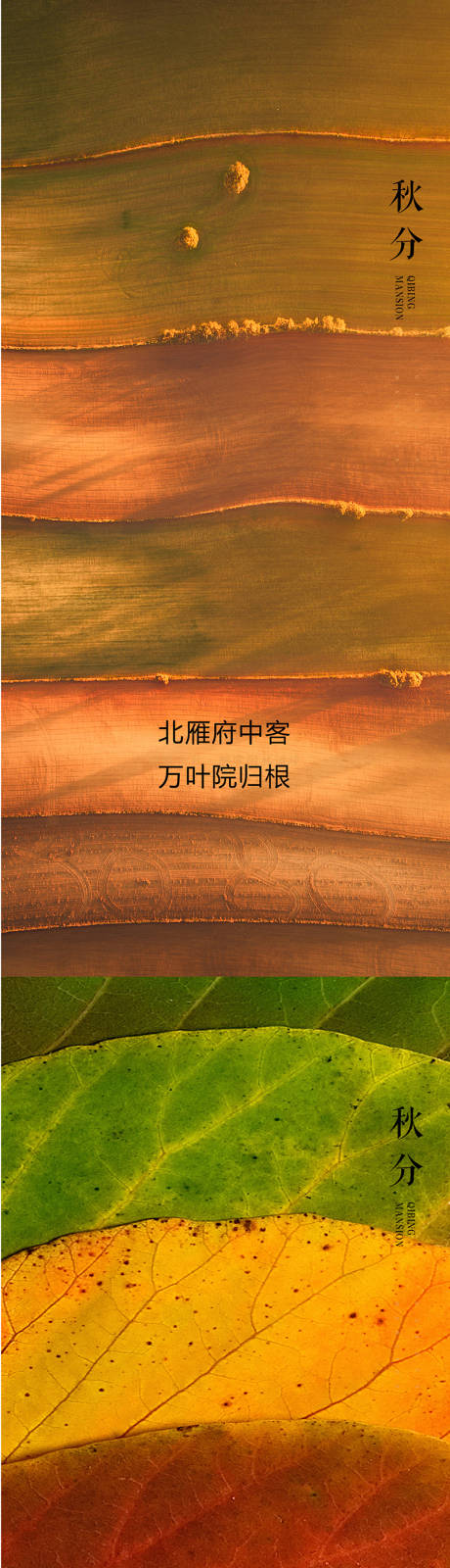 源文件下載【享設計】搜索編號：22420006542091283【秋分節氣系列海報】