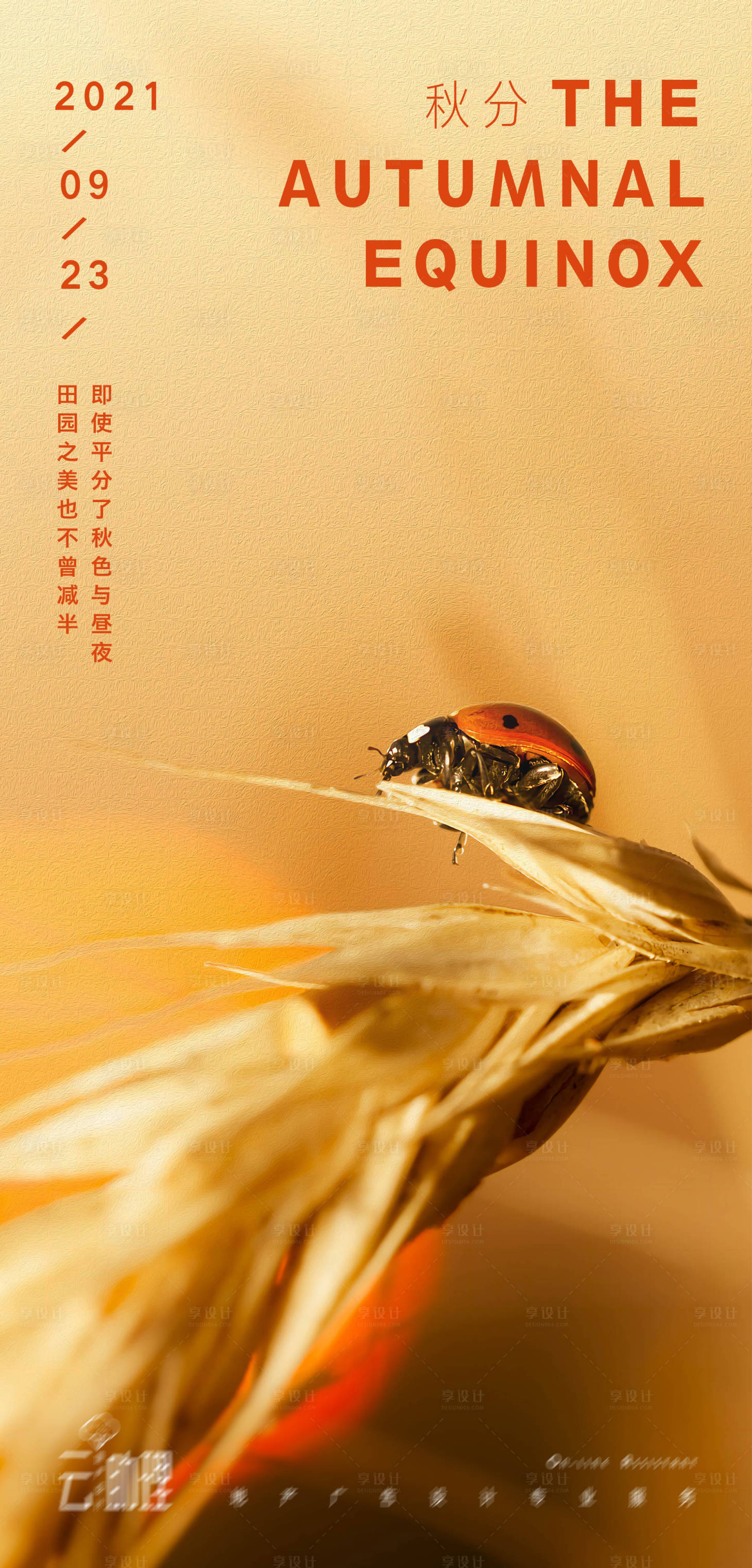 源文件下载【秋分秋日意境海报 】编号：29230006533396908