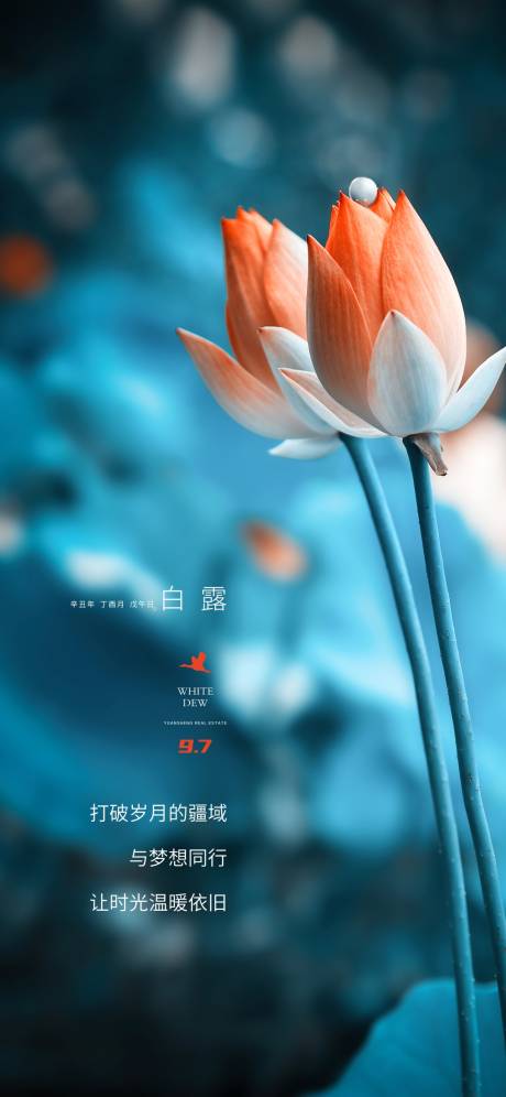 源文件下載【白露 節氣】編號：92500006331336659