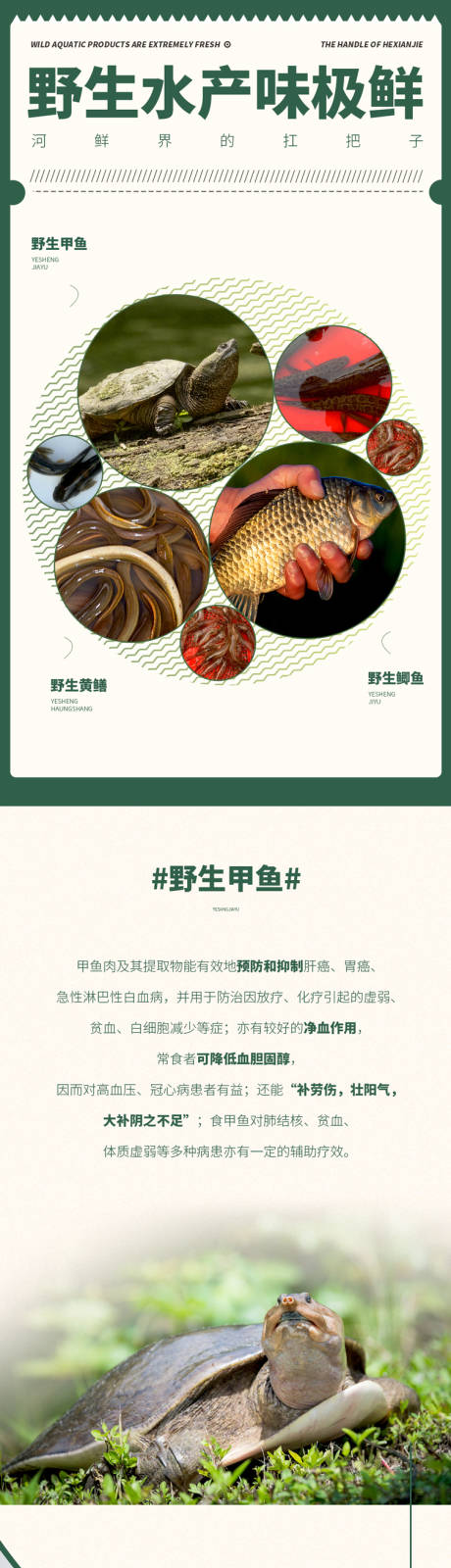 源文件下载【生鲜水产】编号：34500006381511857
