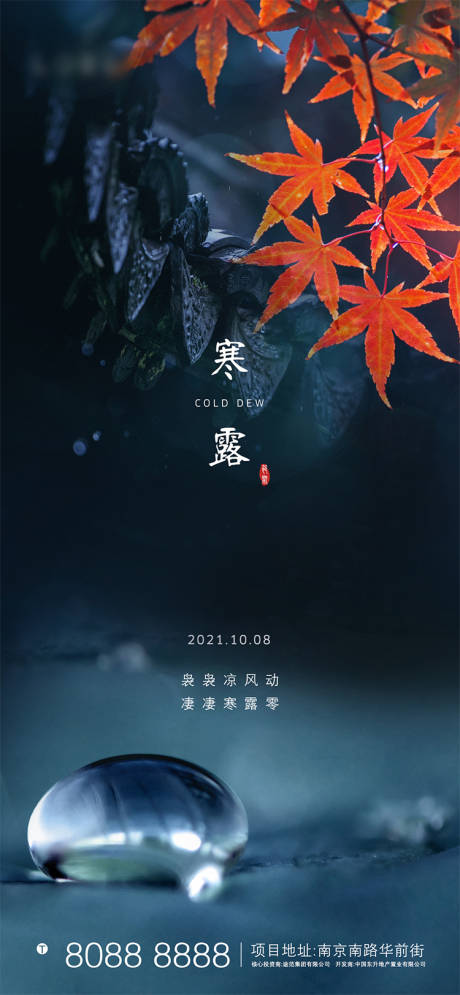 源文件下载【寒露刷屏海报】编号：98600006659177397